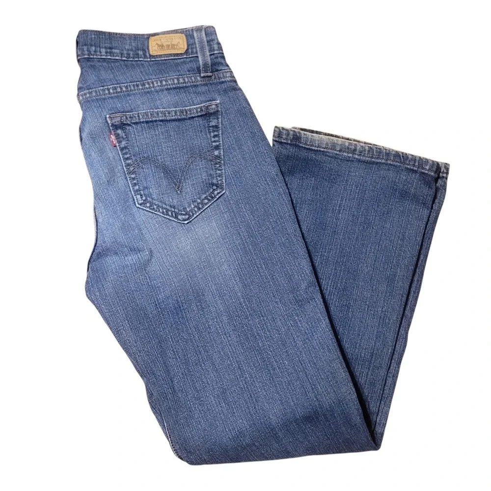 Levis levi 529